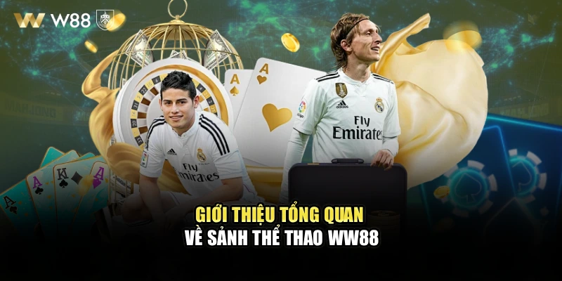 Giới thiệu tổng quan về sảnh thể thao WW88