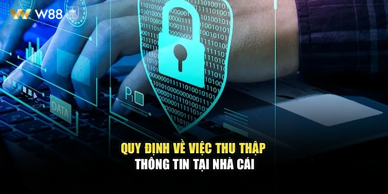 Quy định về việc thu thập thông tin tại nhà cái